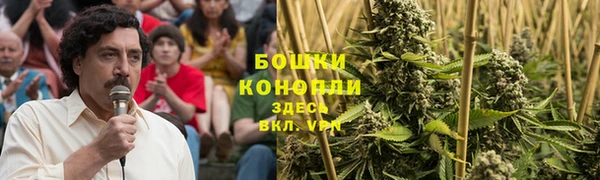 ГАЛЛЮЦИНОГЕННЫЕ ГРИБЫ Навашино
